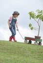 Young girl planting tree in park eco-aware Royalty Free Stock Photo