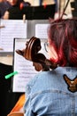 Young girl playing the cello in an orchestra on the street Royalty Free Stock Photo