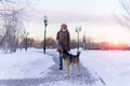 Young girl playing with her dog in winter on the street. Friendship, pet and human. selective focus