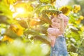 Young girl playing with large yellow sunflowers on her familys farm