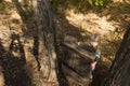 Young girl playing with an old wooden gate Royalty Free Stock Photo