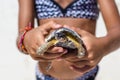 Young girl playing with turtle in hand on tropical sandy beach Royalty Free Stock Photo