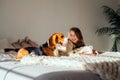 Young girl plays with her dog on the bed. Beagle and girl laugh together. Funny dog and pretty caucasian girl Royalty Free Stock Photo