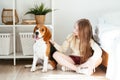 Young girl plays with her dog near the bed. Royalty Free Stock Photo