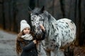 Young girl portrait with Appaloosa horse and Dalmatian dogs