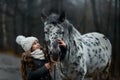 Young girl portrait with Appaloosa horse and Dalmatian dogs