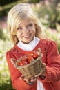 Young girl posing with tomatoes in garden Royalty Free Stock Photo