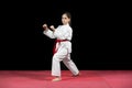 Young girl preforming karate martial arts Royalty Free Stock Photo
