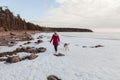 A young girl with a purebred Siberian Husky dog on a walk along the shore of a frozen lake. Walk your favorite pet