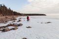 A young girl with a purebred Siberian Husky dog on a walk along the shore of a frozen lake. Walk your favorite pet