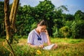 Young girl read and write in meadow contryside nature in evening Royalty Free Stock Photo