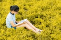 Young girl reading in gold meadow contryside nature Royalty Free Stock Photo
