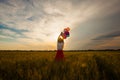 Girl with balloons in wheat field and sunshine on the sunset Royalty Free Stock Photo