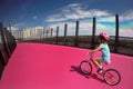 Young girl ride a bike Royalty Free Stock Photo