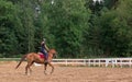 Young girl rider on a dressage in the park on a slender horse. Royalty Free Stock Photo