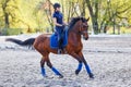 Young girl riding bay horse on equestrian dressage training Royalty Free Stock Photo