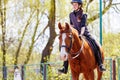Young girl riding bay horse on equestrian dressage training Royalty Free Stock Photo