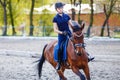 Young girl riding bay horse on equestrian dressage training Royalty Free Stock Photo