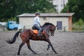 Young girl riding bay horse on equestrian sport training Royalty Free Stock Photo