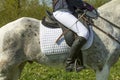 Young girl riding Royalty Free Stock Photo