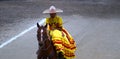 Female rider in yellow dress