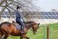 Young girl riding horse along solar batteries field in the countryside Royalty Free Stock Photo