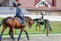 Young girl riding horse along solar batteries field in the countryside Royalty Free Stock Photo