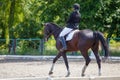 Young girl riding horse on equestrian competition Royalty Free Stock Photo