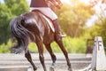 Young girl riding horse on equestrian competition Royalty Free Stock Photo