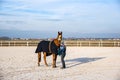 YoHorse riding . Young girl riding a horse . Royalty Free Stock Photo