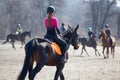 Young girl riding horse on equestrian training Royalty Free Stock Photo