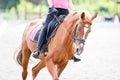 Young girl riding horse on equestrian training Royalty Free Stock Photo