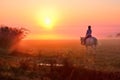 Young girl riding on horse during wonderful calm autumn morning full of mist and gold light Royalty Free Stock Photo