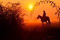 Young girl riding on horse during wonderful calm autumn morning full of mist and gold light Royalty Free Stock Photo