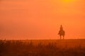 Young girl riding on horse during wonderful calm autumn morning full of mist and gold light Royalty Free Stock Photo