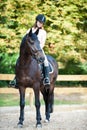 Young girl riding horseback at early morning in sunlight Royalty Free Stock Photo