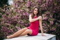 Young girl sist in front of sakura tree. Spring outside. Blossom tree Royalty Free Stock Photo