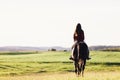 Young girl sitting on a bay horse, riding on the field. Royalty Free Stock Photo