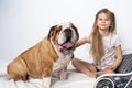 A young girl is sitting on the bed with her dog and is gently stroking him. Child and dog. The English Bulldog is a Royalty Free Stock Photo