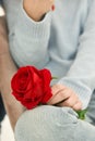 Young girl sitting on a chair holding a red rose in her hand. Royalty Free Stock Photo