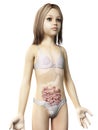 young girl - small intestine