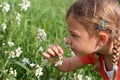 Young girl smelling flowers Royalty Free Stock Photo