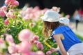 Young girl smelling flowers in Lucca city, known for its intact Renaissance-era city walls and well preserved historic center. Royalty Free Stock Photo