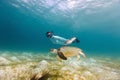 Young girl snorkeling with sea turtle Royalty Free Stock Photo