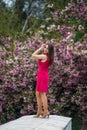 Young girl stand in front of sakura tree. Spring outside. Blossom tree Royalty Free Stock Photo