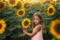 Young girl standing in sunflower field, portrait of girl in sunflower field Royalty Free Stock Photo