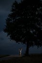 Young girl stands holding her longboard above her head on the edge of the road next to a large tree Royalty Free Stock Photo