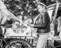 A young girl stroking dogs in a bicycle basket in the park at a dog show