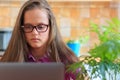 Young girl studying in kitchen with laptop Royalty Free Stock Photo