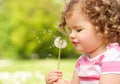 Young Girl In Summer Dress Sitting In Field Royalty Free Stock Photo